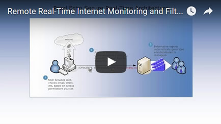 Remote Realtime Internet Monitor Video