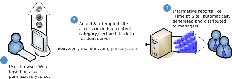 Web Filtering Diagram